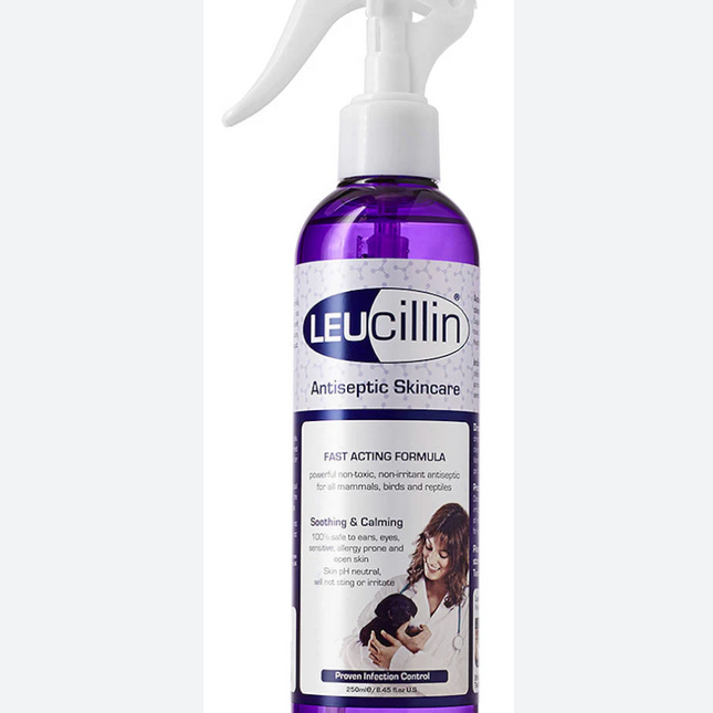 Leucillin Antiseptic 80ml